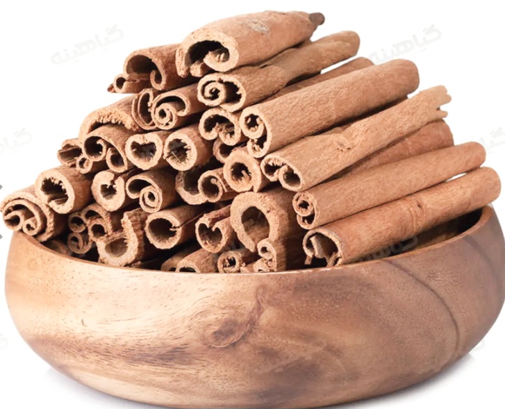 فروش دارچین اصل
