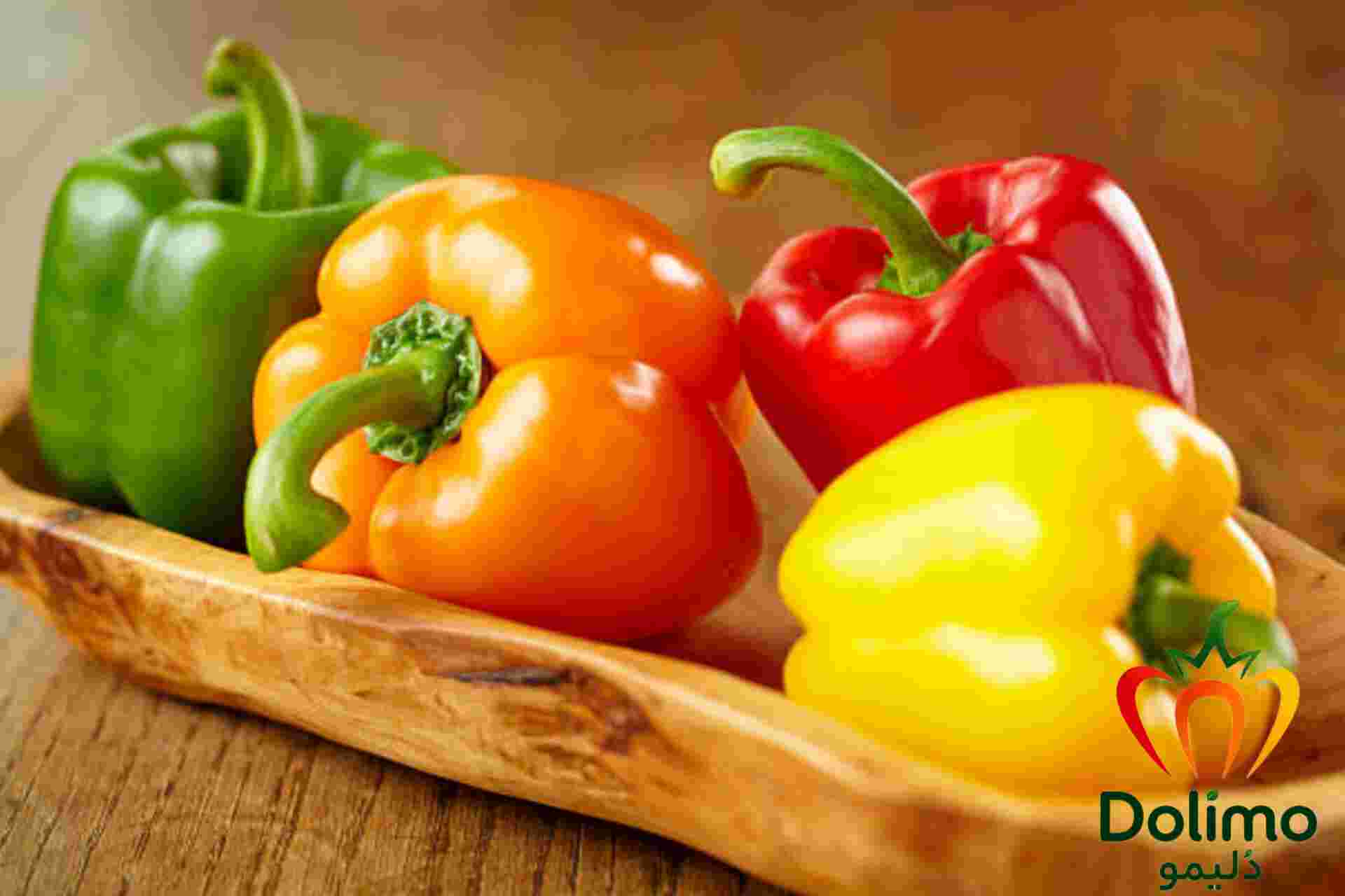 فلفل دلمه ای رنگی صادراتی با کیفیت عالی