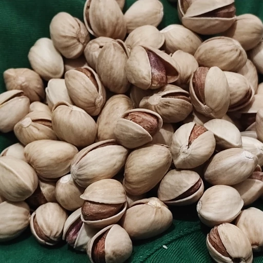 خرید عمده پسته کله قوچی رفسنجان + کیفیتی ممتاز و قیمت رقابتی