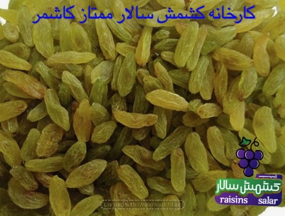 تصویر 3 از خرید عمده کشمش سبز کاشمر