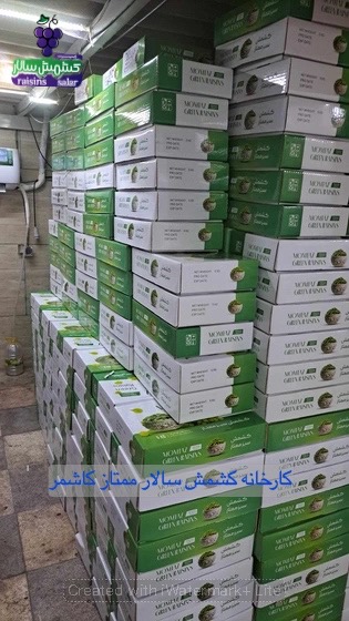 تصویر 3 از خرید کشمش سبز از کارخانه کاشمر