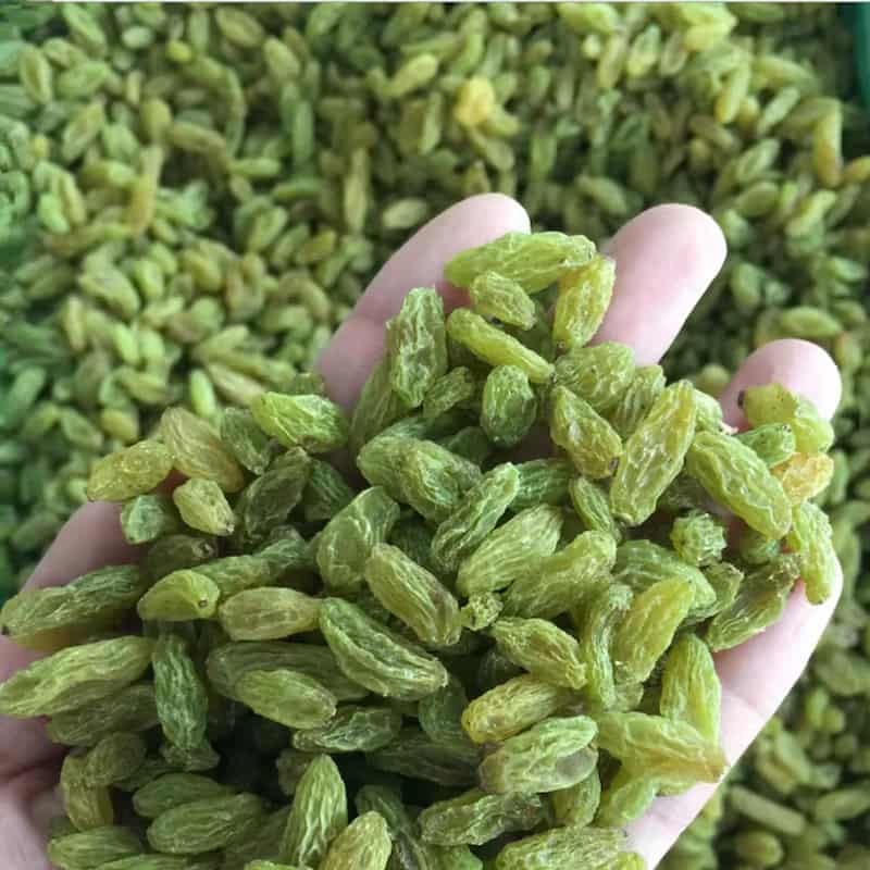 کشمش سبز پیکانی محصولی با ظاهر کشیده و بازار پسند