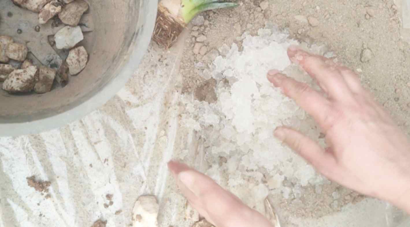 قیمت پودر هیدروژل