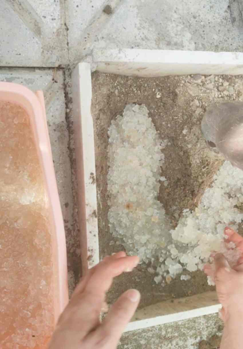 هیدروژل کشاورزی