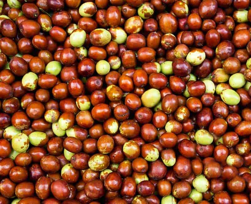 عناب