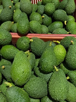 تصویر 2 از خرید عمده آووکادو ۳۵۰ گرمی درشت