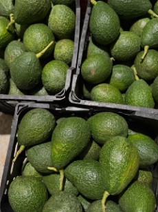 تصویر 4 از خرید عمده آووکادو ۳۵۰ گرمی درشت