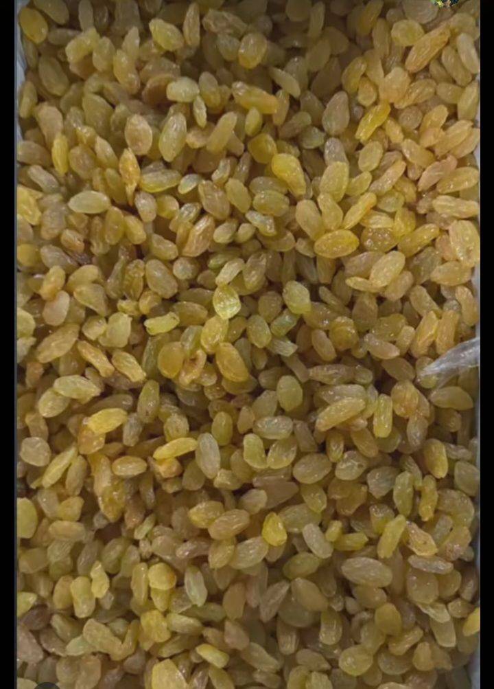 کشمش سبز قلمی لوکس  صادراتی کاشمر محصول تازه خرید از باغدار