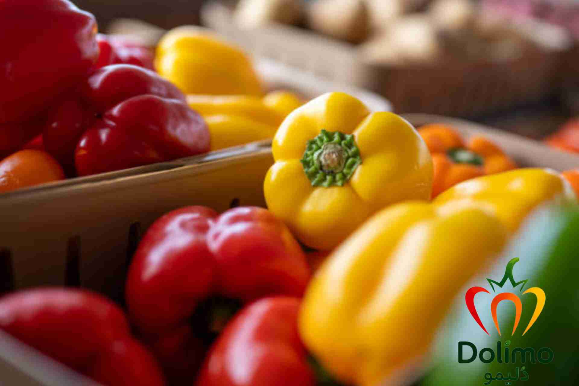 فروش فلفل دلمه‌ای رنگی درجه یک شیرین و آبدار مخصوص مصرف تازه و رستوران ها