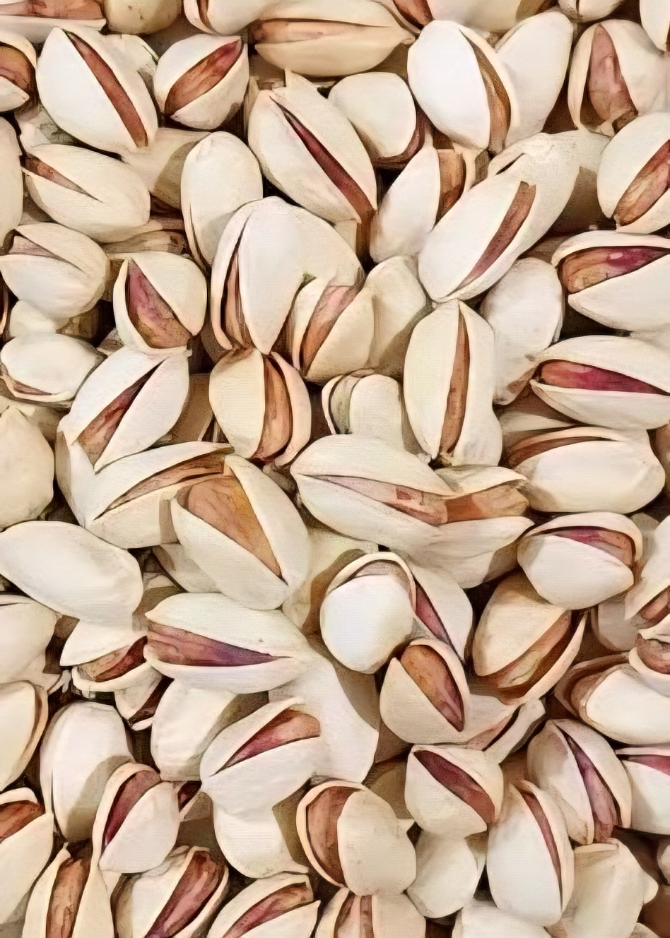 تامین عمده پسته احمد آقایی یکدست + مناسب بسته بندی حرفه ای خشکبار + قیمت خرید