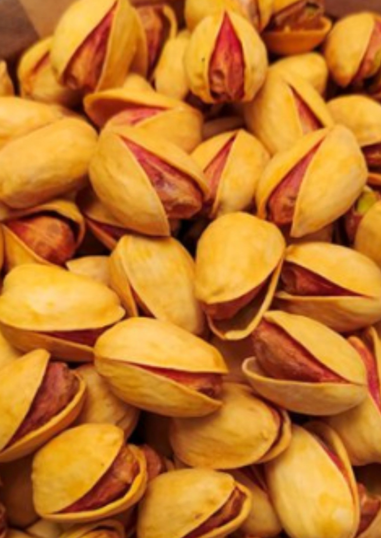 فروش پسته کله قوچی شور زعفرانی ممتاز + انتخاب ویژه برای اجیل مجلسی + قیمت و خرید عمده
