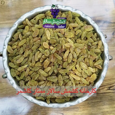 فروش عمده کشمش سبز کاشمر