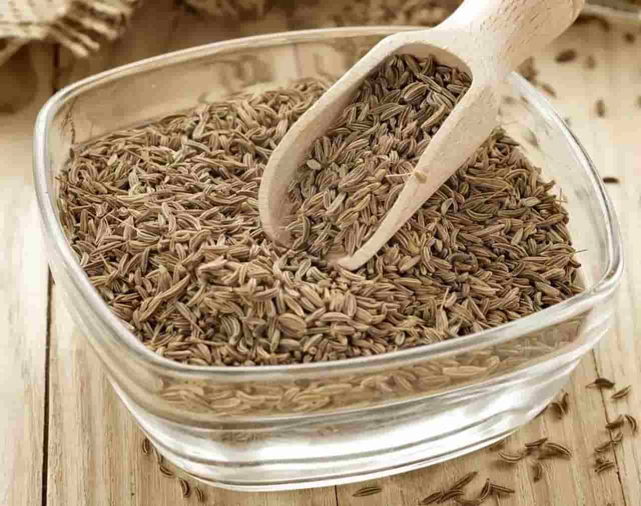 زیره سبز کاشمر با کیفیت مطلوب و عطر ماندگار