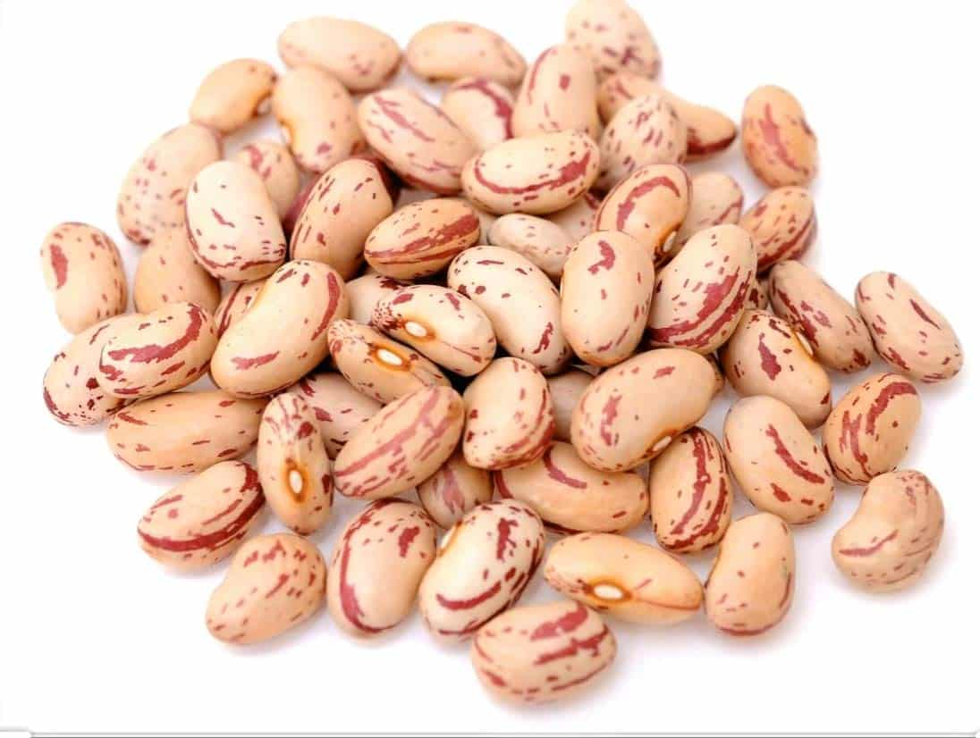 لوبیا چیتی زودپز مناسب تهیه خوراک های متنوع