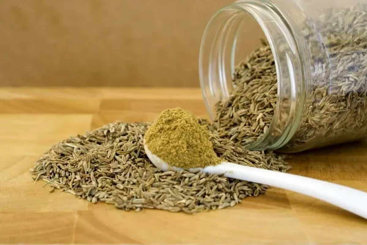 زیره سبز پلویی با عطر دلنشین و کیفیت ممتاز