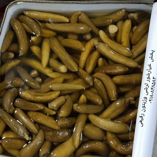 فروش خیار شور