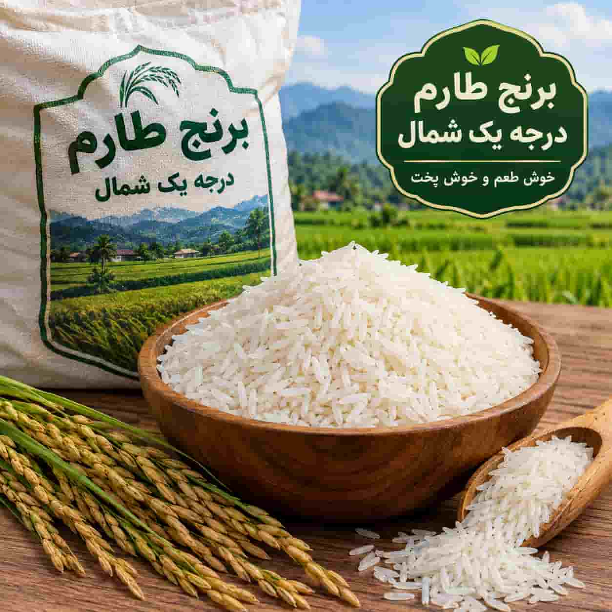 برنج طارم درجه یک شمال خوش طعم و مناسب رستوران