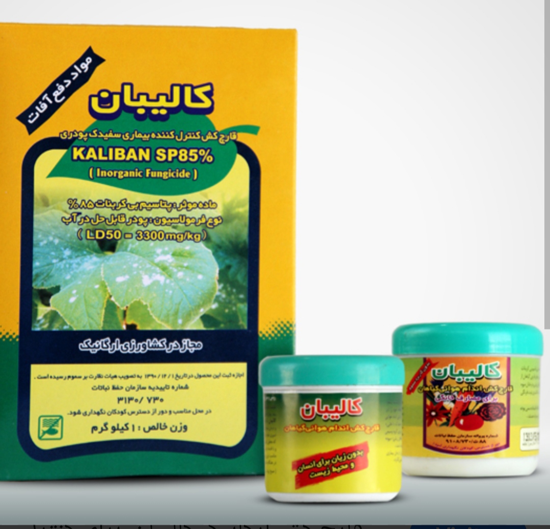 خرید مستقیم قارچ کش گیاهی + تولیدکننده