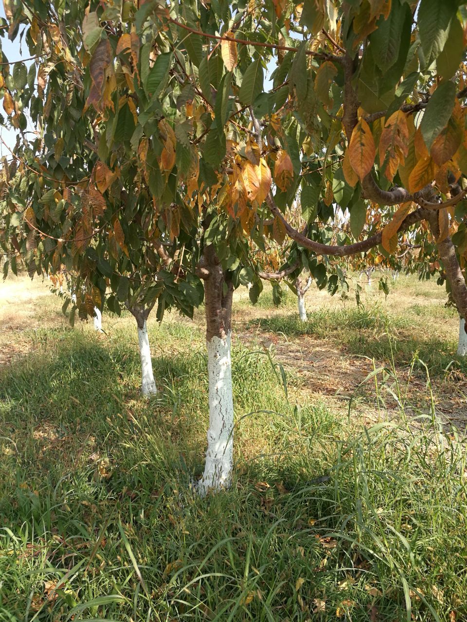 خرید رنگ