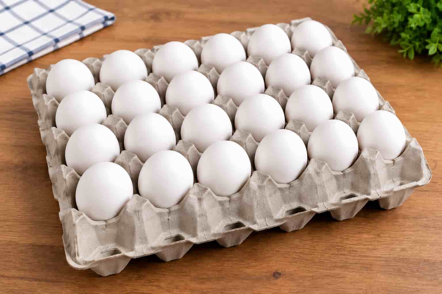 شانه تخم مرغ ۳۰ عددی مناسب مرغداری ها و فروشگاه ها