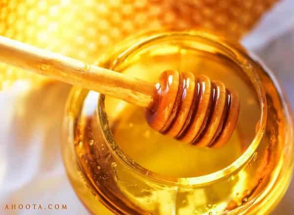 تصویر 4 از قیمت شگفت انگیز عسل زرد + فروش استثنایی