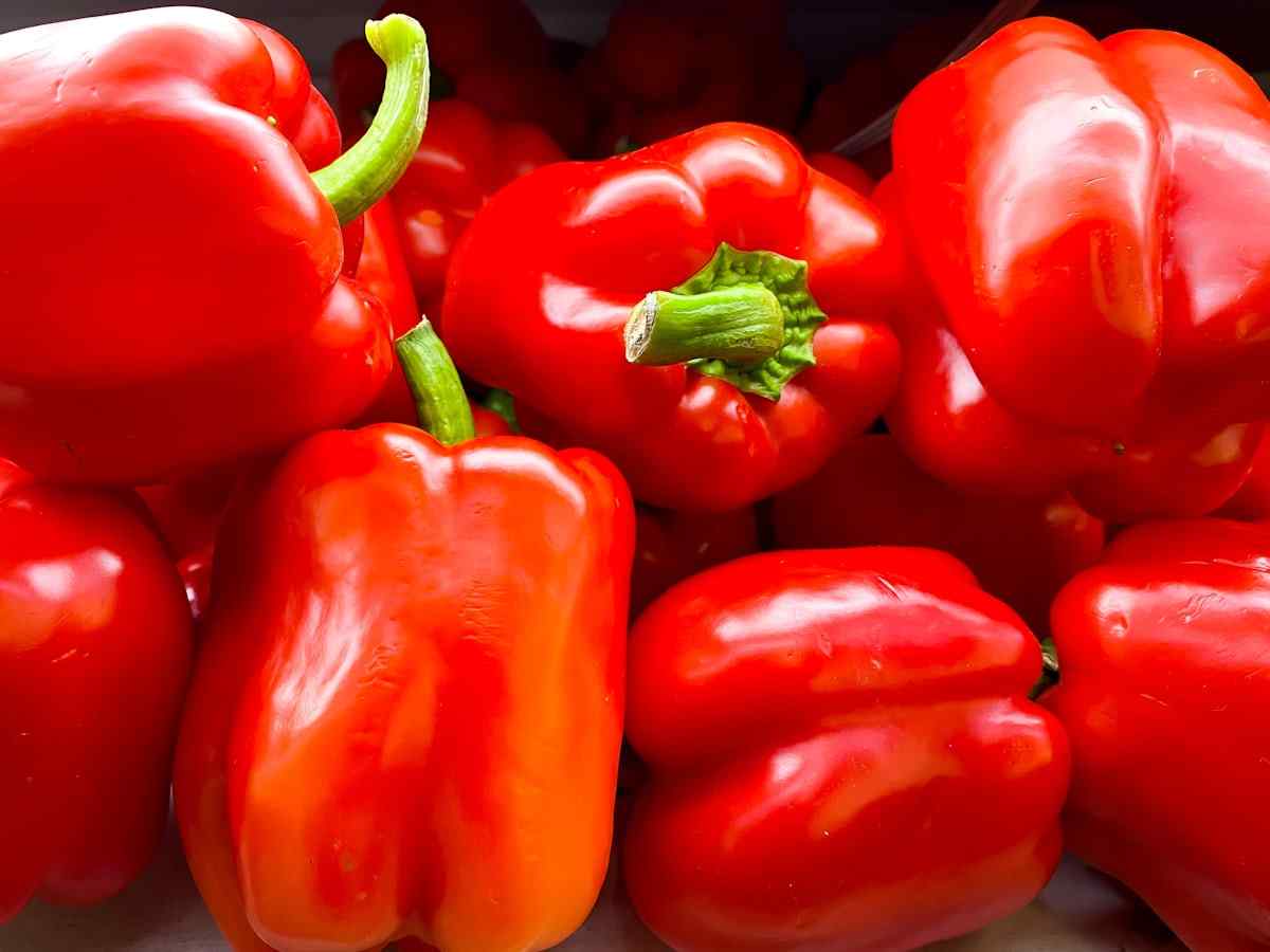 تصویر 1 از فلفل دلمه‌ای قرمز گوشتی و شیرین مناسب مصرف روزانه