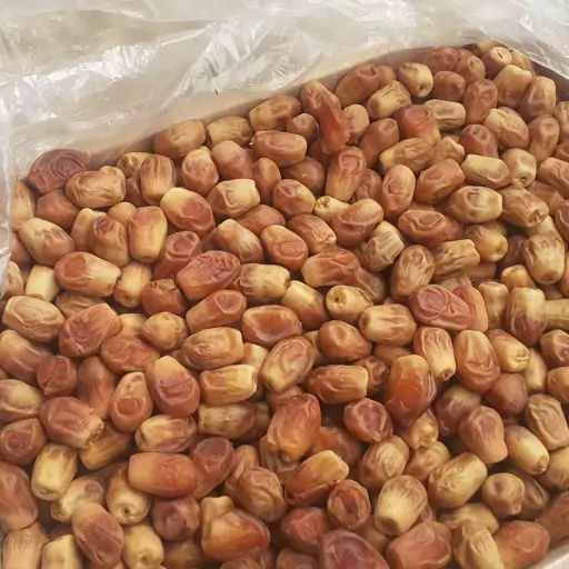 خرما زاهدی لوکس مرغوب با دانه بندی یکدست و طعم شیرین