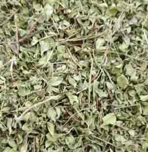آویشن شیرازی