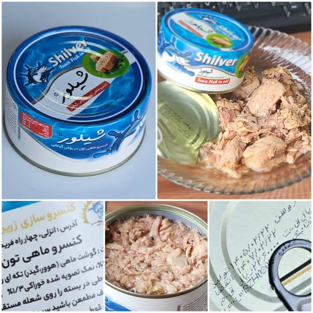 تولید و پخش کنسرو ماهی شیلور