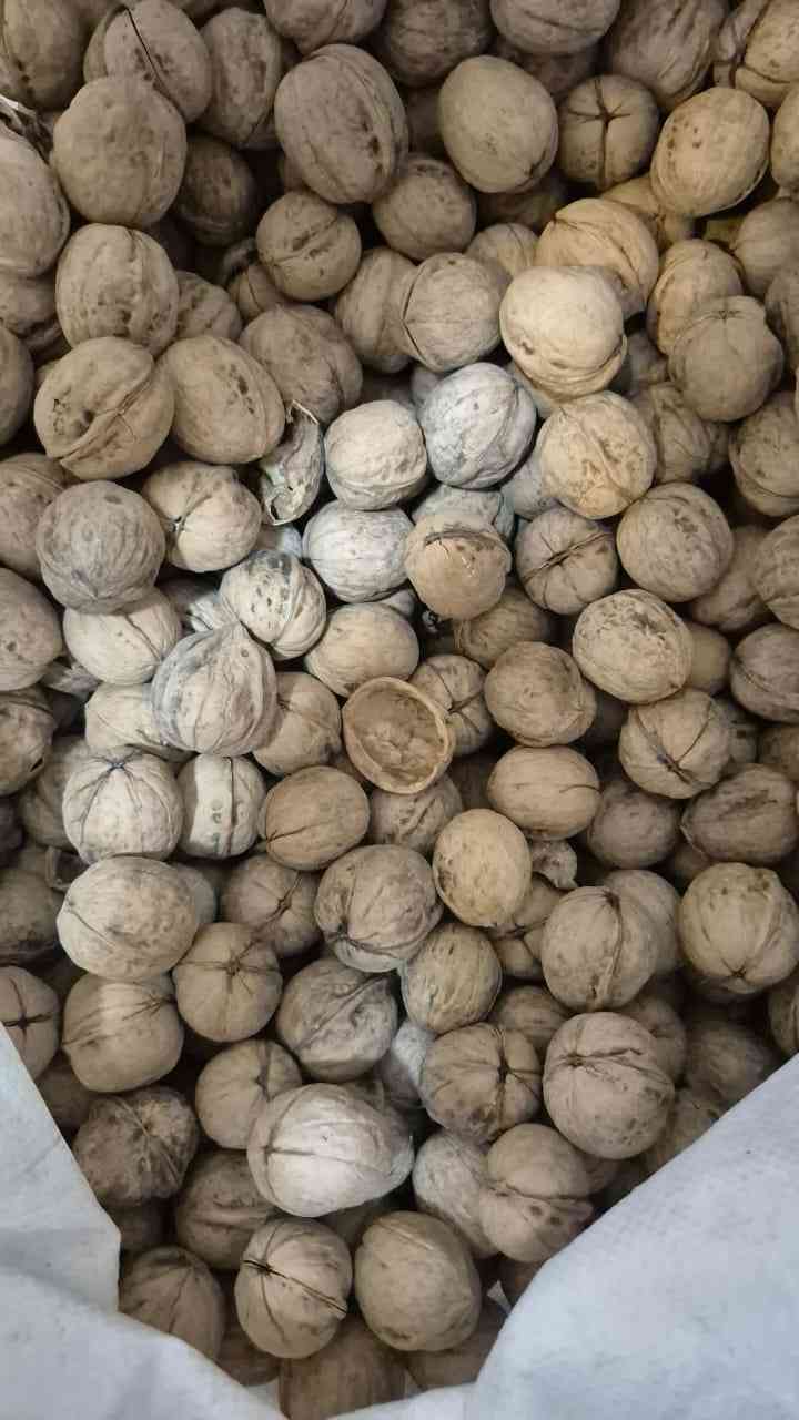 تصویر 1 از گرد ممتاز تویسرکان اصالت طعم اعتبار تجارت