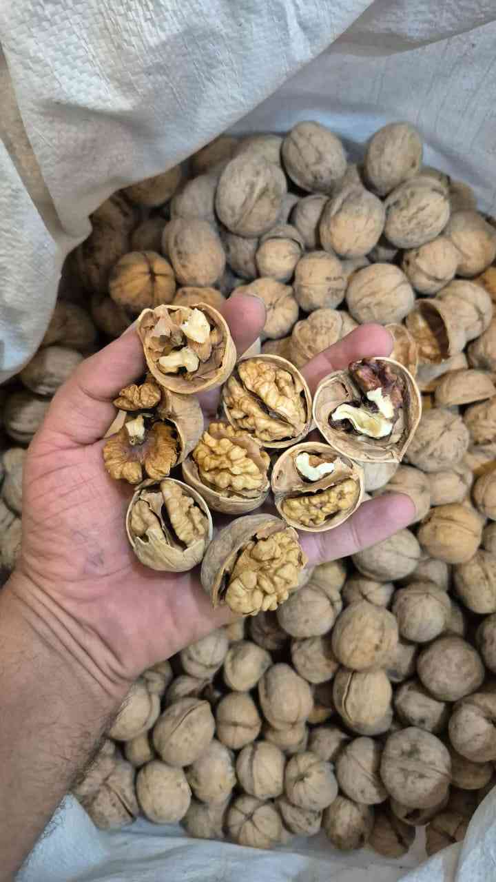 تصویر 3 از گرد ممتاز تویسرکان اصالت طعم اعتبار تجارت