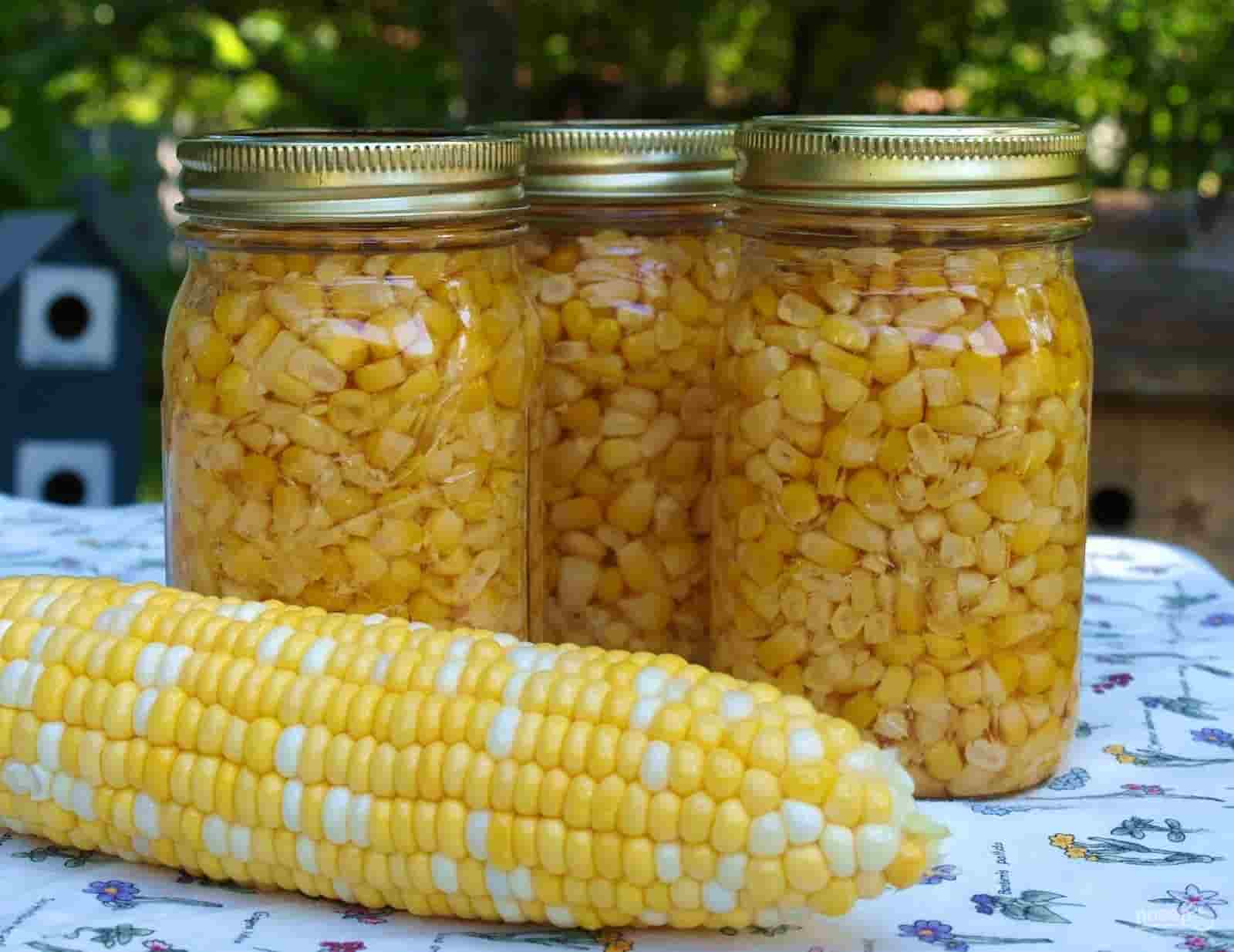 کنسرو ذرت شیشه‌ای با ظاهر جذاب و کیفیت بالا