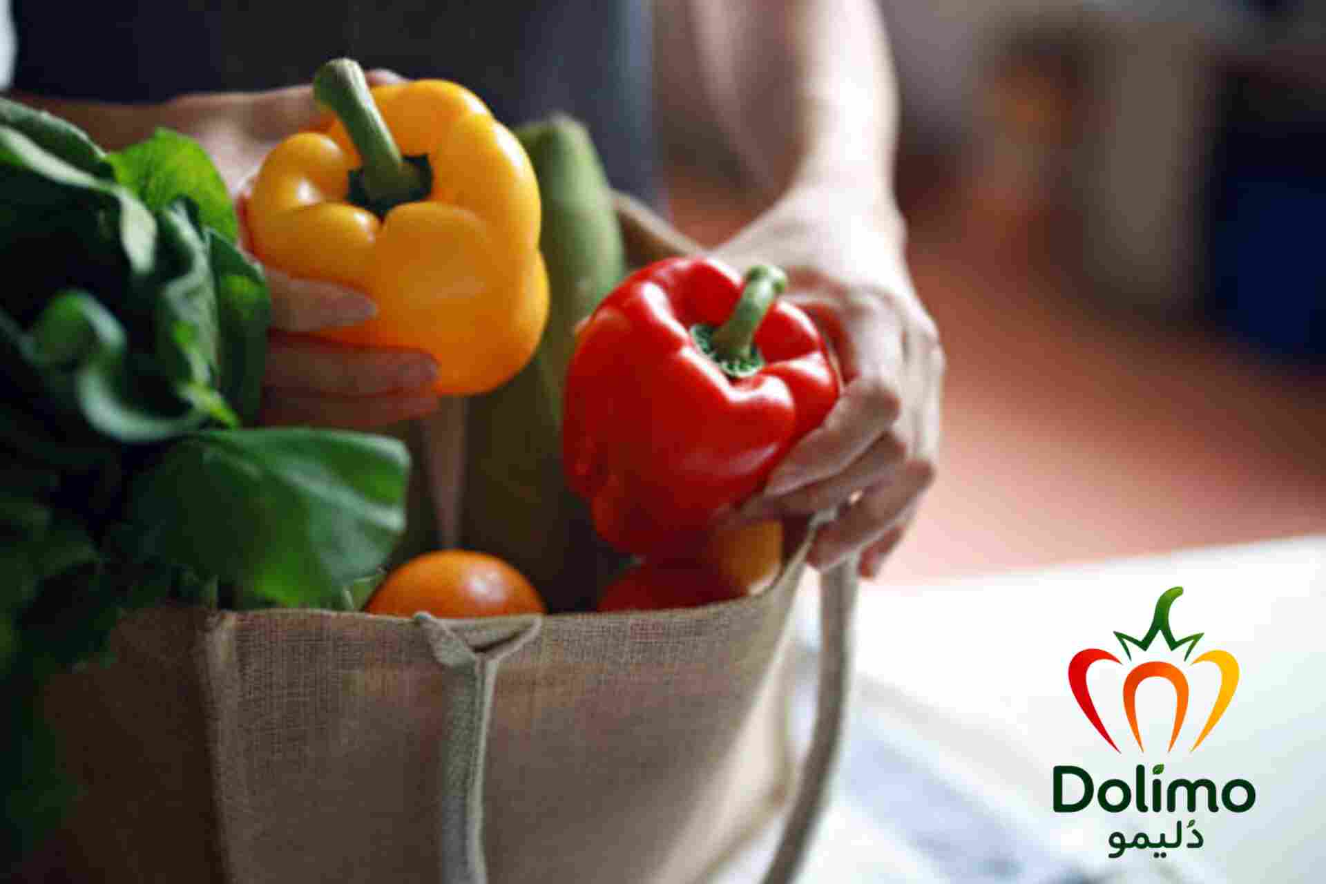فروش مستقیم فلفل دلمه ای از گلخانه؛ انتخابی مناسب برای خرید عمده
