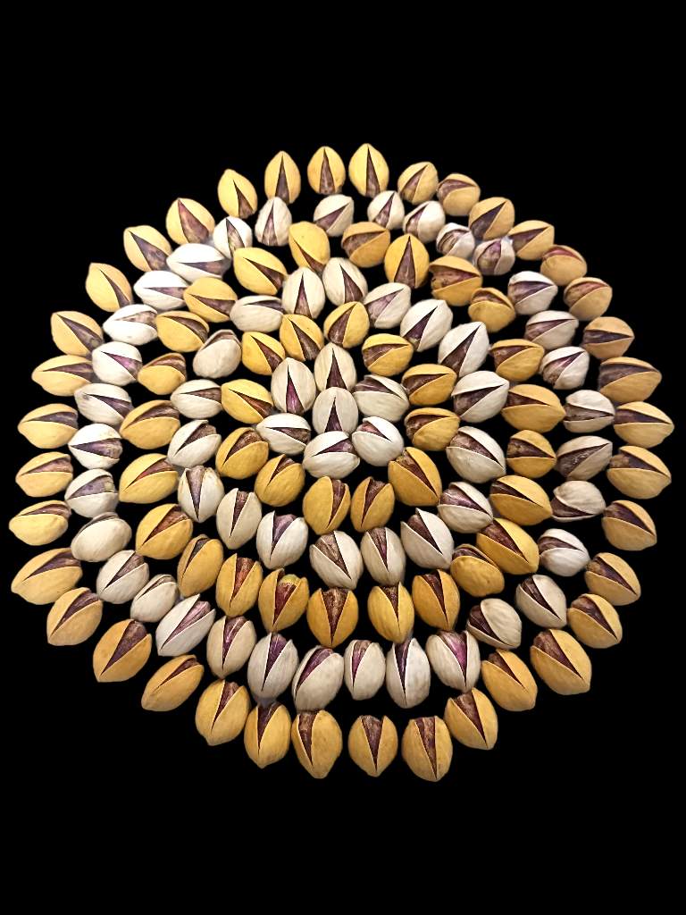 پسته فندقی صادراتی کرمان + انتخابی مطمئن برای خریداران عمده + قیمت و خرید عمده