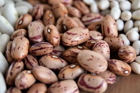 لوبیا چیتی ۱ کیلویی برای عرضه در بسته های کاربردی