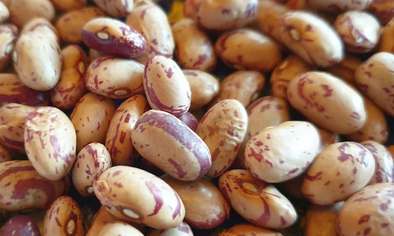 لوبیا چیتی ۹۰۰ گرمی با دانه های خوش پخت و مرغوب