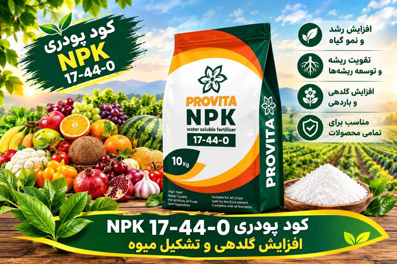 کودپاش