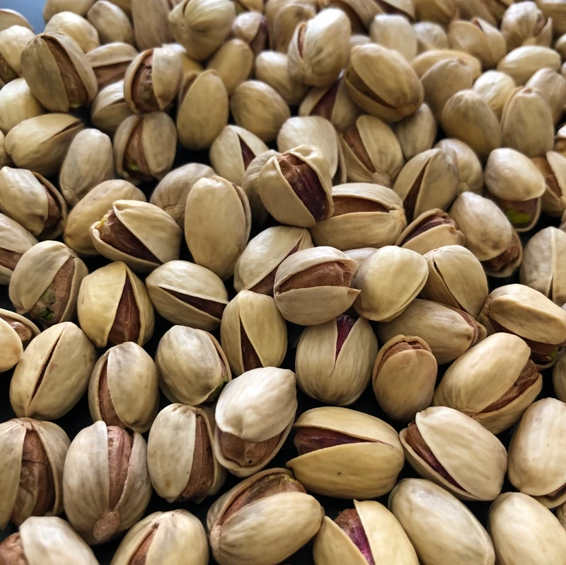 پسته کله قوچی دستچین صادراتی + کیفیت مطلوب برای بازار جهانی  + قیمت و خرید عمده