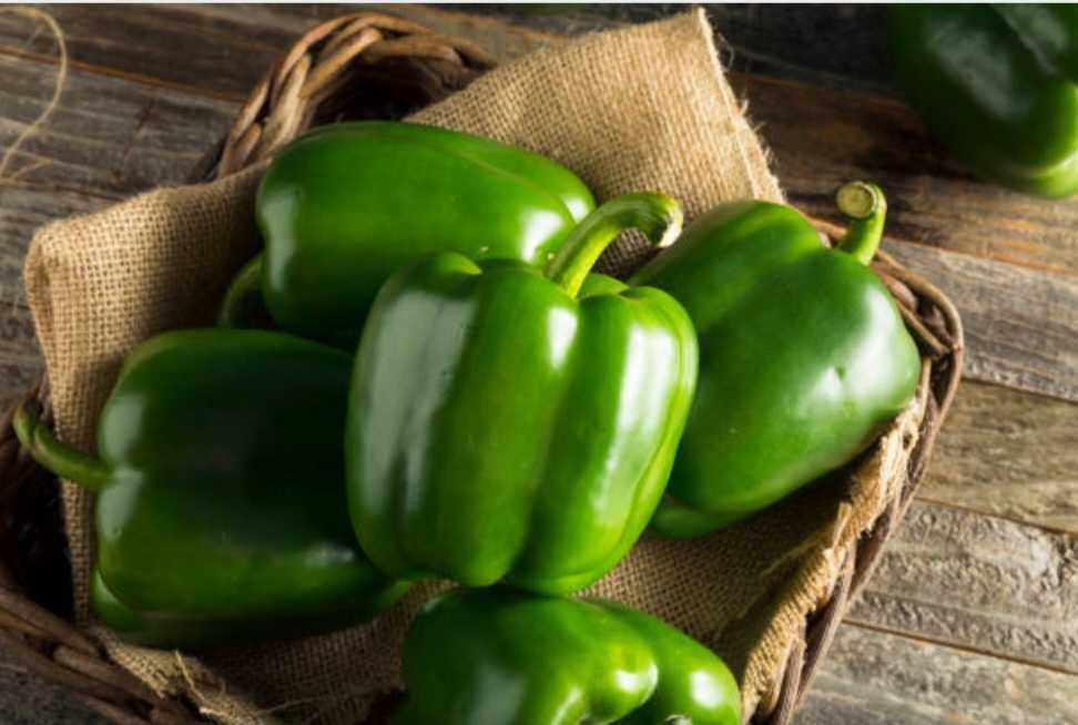 تصویر 2 از فروش فلفل دلمه‌ای سبز صادراتی با رنگ شفاف  و بافت سفت و ترد