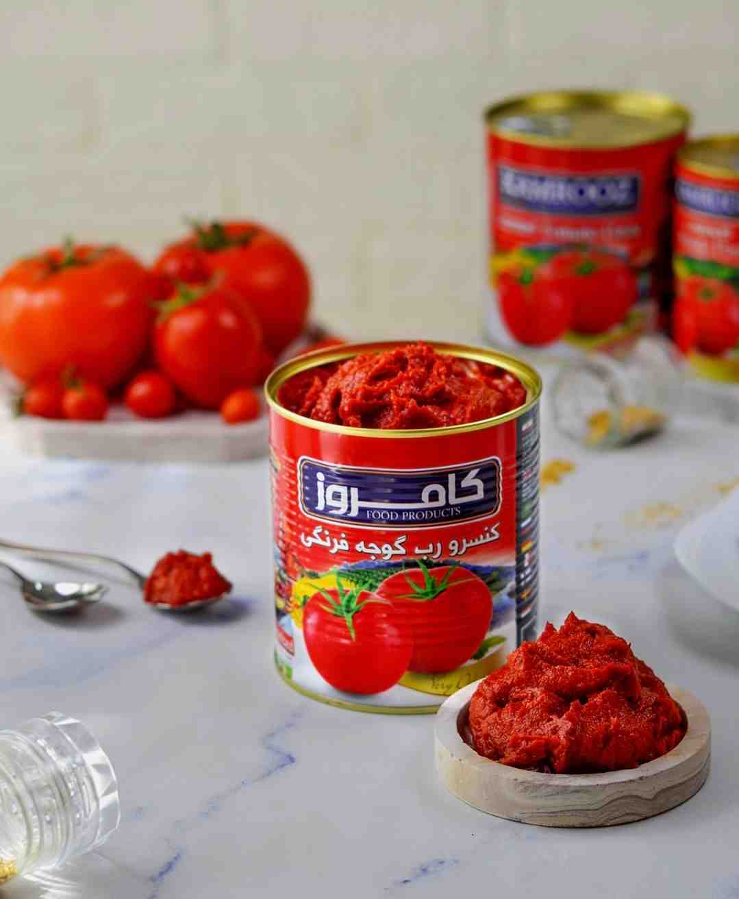 تصویر 3 از فروش رب گوجه فرنگی روژین + قیمت خرید بصرفه