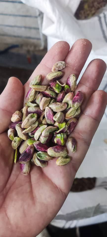خرید و فروش مغز گلدار دل سبز مناسب تهیه باقلوا