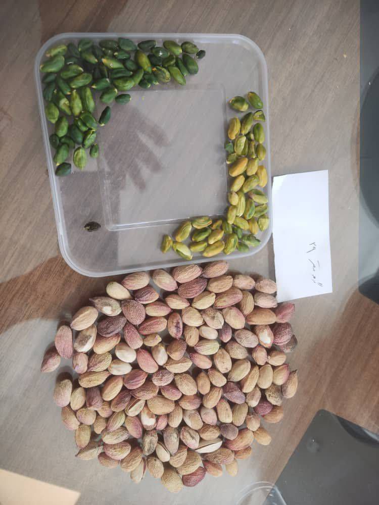 تصویر 2 از خرید و فروش مغز گلدار دل سبز مناسب تهیه باقلوا