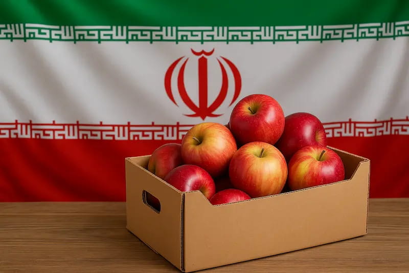 سیب قرمز سمیرم با بافت مطلوب برای عرضه روزانه