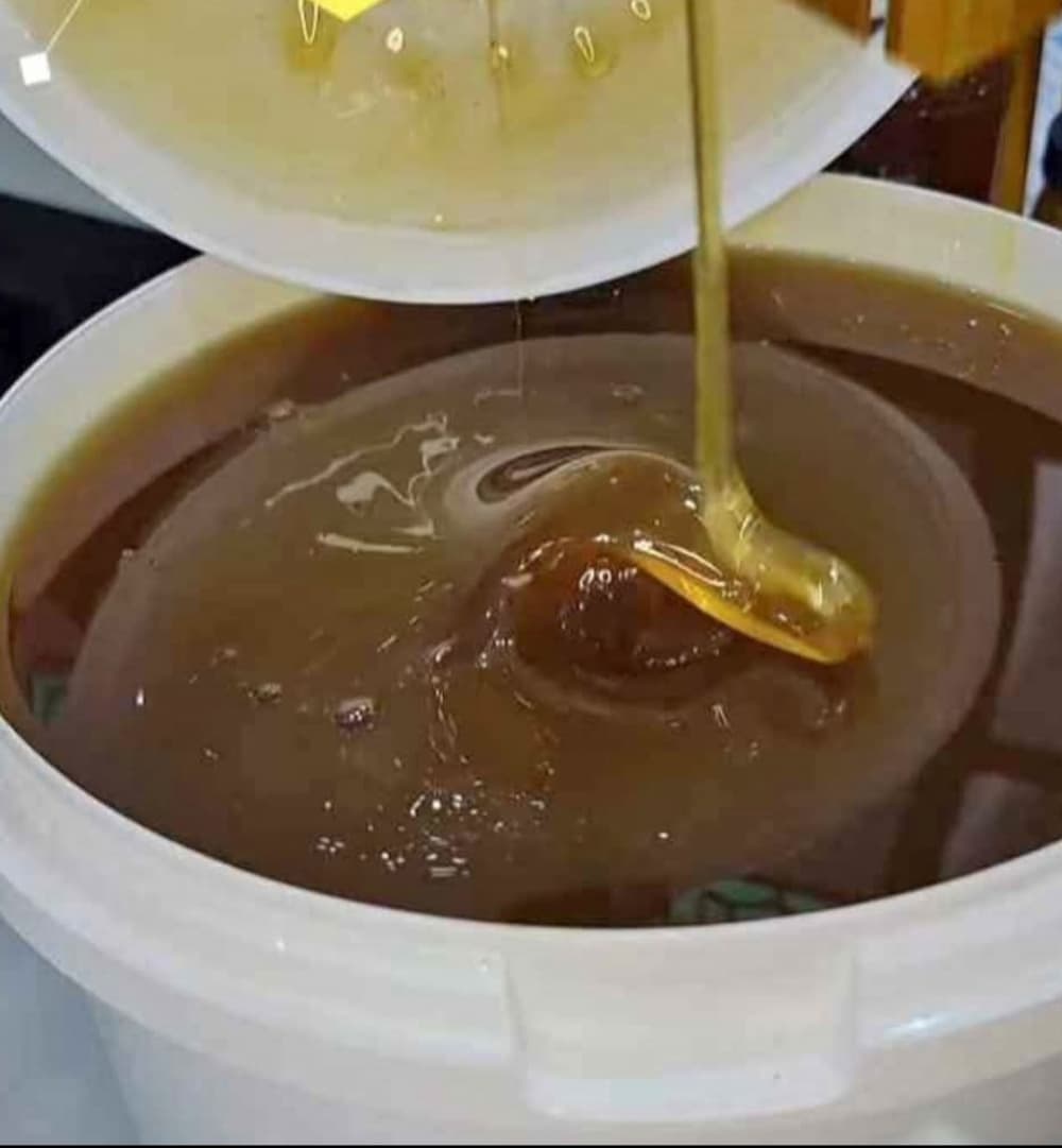 تصویر 3 از قیمت خرید عسل کوهی + فروش سریع