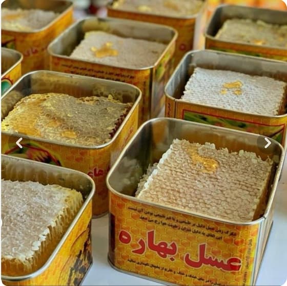 تصویر 3 از قیمت عمده عسل کندو + شرایط خرید آسان