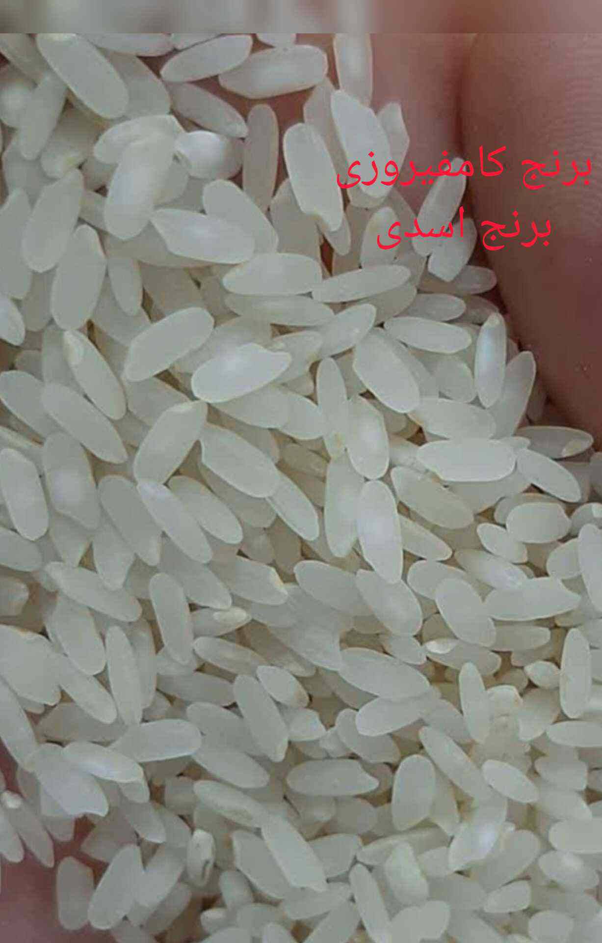 خرید برنج ایرانی