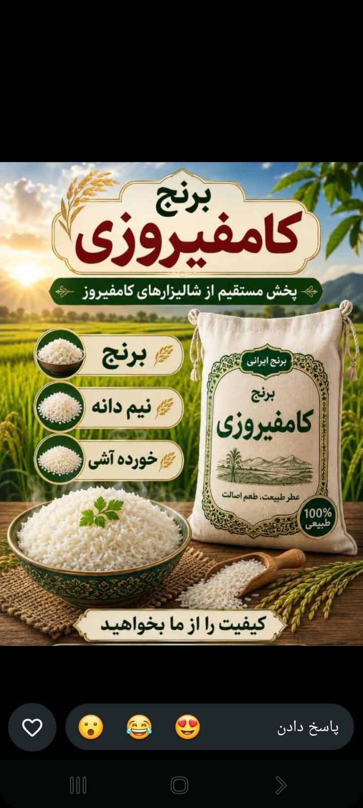 تصویر 5 از خرید برنج کامفیروزی، فارس
