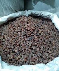 قیمت کشمش افتابی