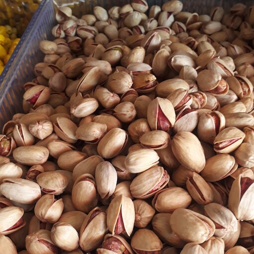 پسته کله قوچی خندان + انتخابی محبوب برای بازار آجیل + قیمت و خرید عمده