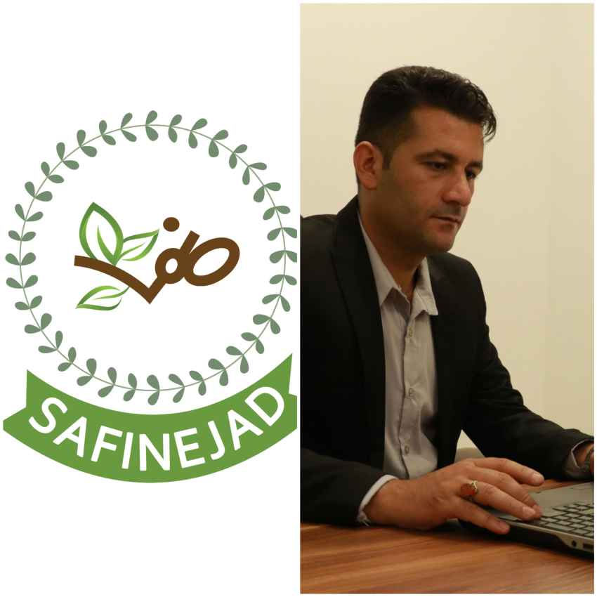 احمد صفی